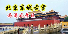 插鸡巴水浆骚逼中国北京-东城古宫旅游风景区